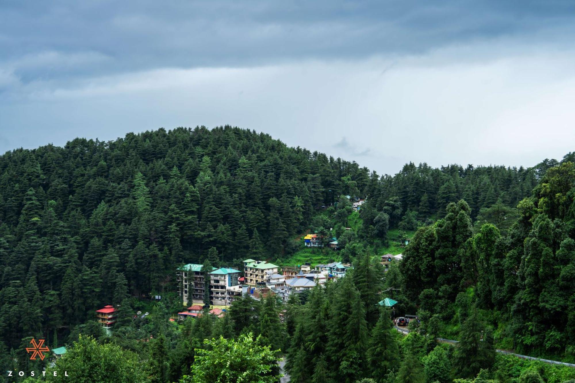 Zostel Dharamkot Hostel McLeod Ganj Εξωτερικό φωτογραφία
